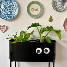 Load image into Gallery viewer, googly eyes magnet